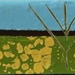 Summer geschilderd door 