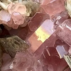 Gracefully geschilderd door 