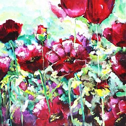 Klaprozen geschilderd door 