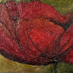 Papaver geschilderd door 