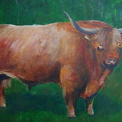 StierOlieverf op doek geschilderd door 