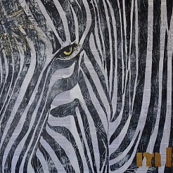 Cebrario geschilderd door 